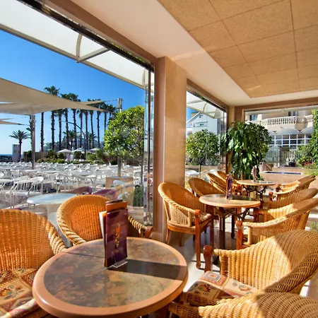 Servigroup Papa Luna 4 Sup